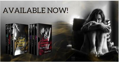 Everett Gaming series by Drew Sera
